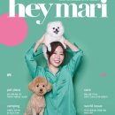 나비펫 스타투데이