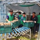 최성기농장 이미지