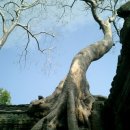 캄보디아 앙코르 유적 어떻게 쌓았을까? [3] 어디서 그 많은 돌을 가져왔어요? 이미지