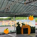 제주레저관광 | 제주카트 제대로 즐기고 왔던 중문관광단지놀거리 감귤카트 후기