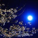 달아래행복 이미지