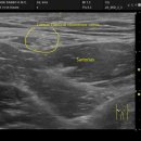 경희대보한의원 이미지