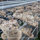 경산흑염소가공소 | 표고버섯수확과 피자만들기 티욤핑크 남하점 후기