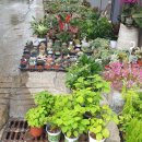 부영화원 이미지