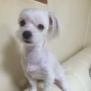 본유치원 이미지