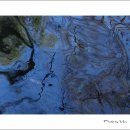 푼크툼(punctum)