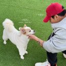 저스트도그 기업도시점 네이버블로그