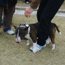 연암축산 이미지