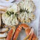 울진대게궁7호 이미지