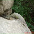 흙과소나무 이미지