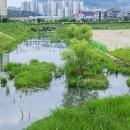 진영공원 이미지