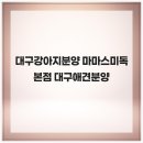 대구강아지분양 마마스미독 본점 | 대구강아지분양 마마스미독 본점 대구애견문양