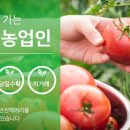 순천로컬푸드(주) 채용 공고 - 정규직 및 기간제 모집 안내 및 지원 방법
