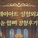 케이아트성형외과의원 네이버블로그