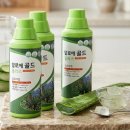 녹십초 - 속초시 중앙로 89-1 | 녹십초