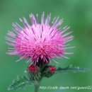 구월4동-22 이미지