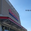 세종고속시외버스터미널BRT건너편 이미지