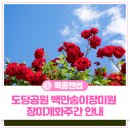 여월공인중개사사무소 | 부천백만송이장미원 '장미개화주간'