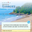 삽시도 어촌체험마을 이미지