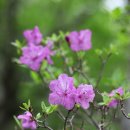 산 - 김해시 삼계로51번길 18 | 산