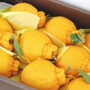 산들강농장 이미지