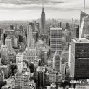 박범재 행정사사무소 이미지