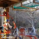 힐링바이크 Daum카페