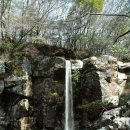 서귀포자연휴양림 이미지