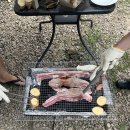 초리 포레스트 이미지