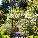 테마-전통5일장-군위전통시장 | 양평 용문 가볼만한곳 이색 카페 모음 및 용문시장까지