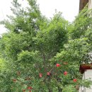 사과나무관광호텔 이미지