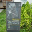 백십자