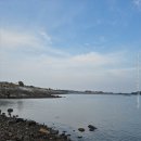 태안호스릴-38 | 태안 출조 후기 1차전 (25/10/31) <쭈>