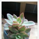 동운농장 이미지