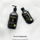 인셀덤보타랩 - 고흥군 원등길 18 | 인셀덤보타랩
