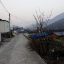 용봉길 입구 Daum카페