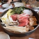 서울숲 2026 서울국제정원박람회 직접 다녀온 후기!(주변 맛집, 포켓몬 정원, 푸드트럭)