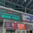 삼천순환로 | SETEC 서울 세택 이색동물 박람회 다녀온 솔직후기 :: x비추x :: 아쿠아리움, 파충류