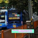 완월동119 이미지