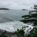 사랑지기 이미지