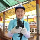 남용호좌대 이미지