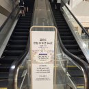 엘로우기획 | [골든듀_창립 37주년 세일] 듀이터널스 목걸이 구매 후기