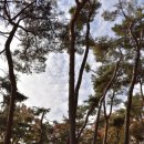 신도연못 옆 | 화성 융건릉 융륭 건릉 뜻 정조사도세자 주차장 입장료