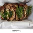 [판매중] 귀한 자연산 송이버섯 판매합니다~ 이미지