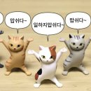 까치복사 이미지