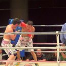 중독된복싱체육관 이미지