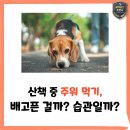 덕소로71번길 20-7 네이버블로그