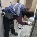 인천광역시동구보건소 | 법정의무소독 대상 시설 인천 부평구 산곡동 빌딩 소독증명서 보건소 제출 방역 후기