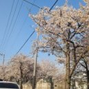 영신손세차장 이미지