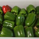 청파농장 이미지